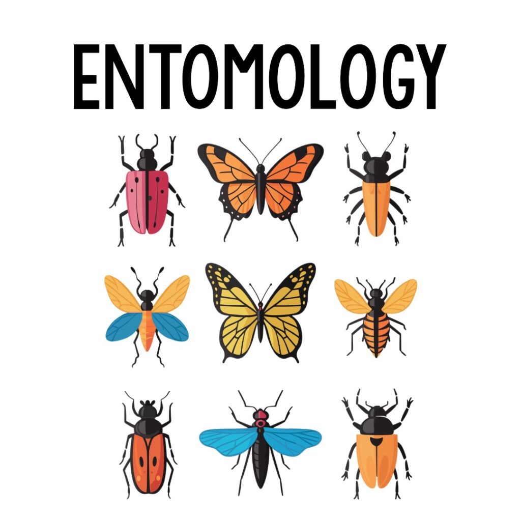 Entomology Resources