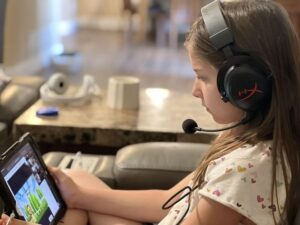 Social Interaction in Online Learning