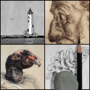 Level 1 Drawing – Live or Recorded Online Class
