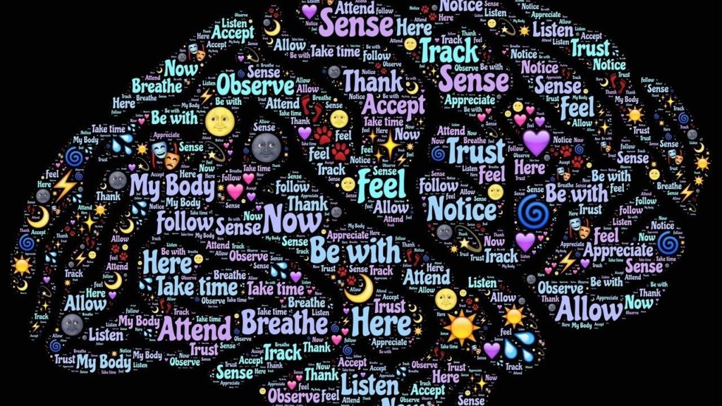 Neuroplasticity