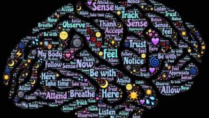 Neuroplasticity