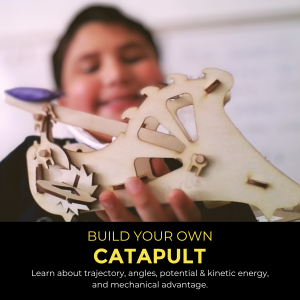 Build Your Own Catapult