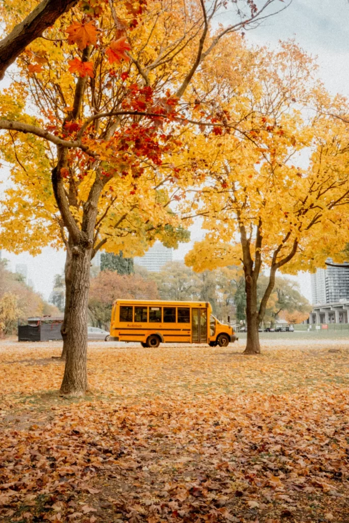 The Best Field Trips in Arizona for the Fall Semester - Planning for Learning All Semester Long